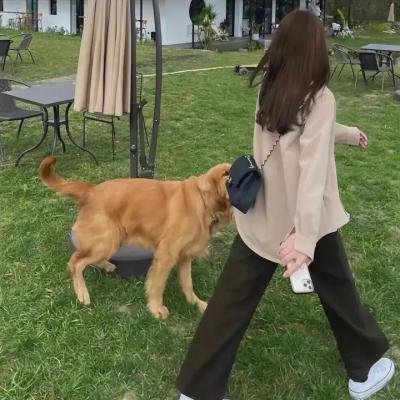 狐狸打猎人